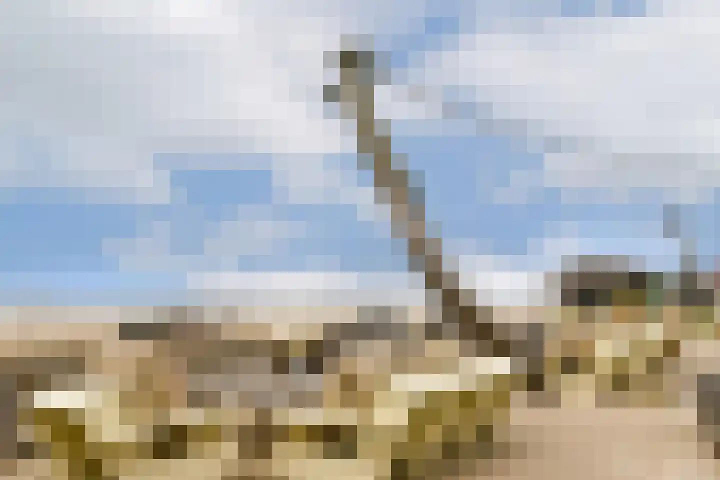 Passage 3 F 2 Zandvoort thumbnail 21