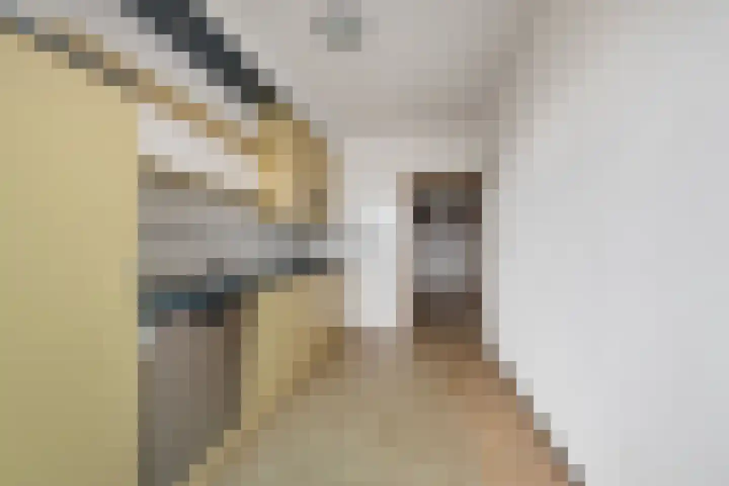 Passage 3 F 25 Zandvoort thumbnail 7