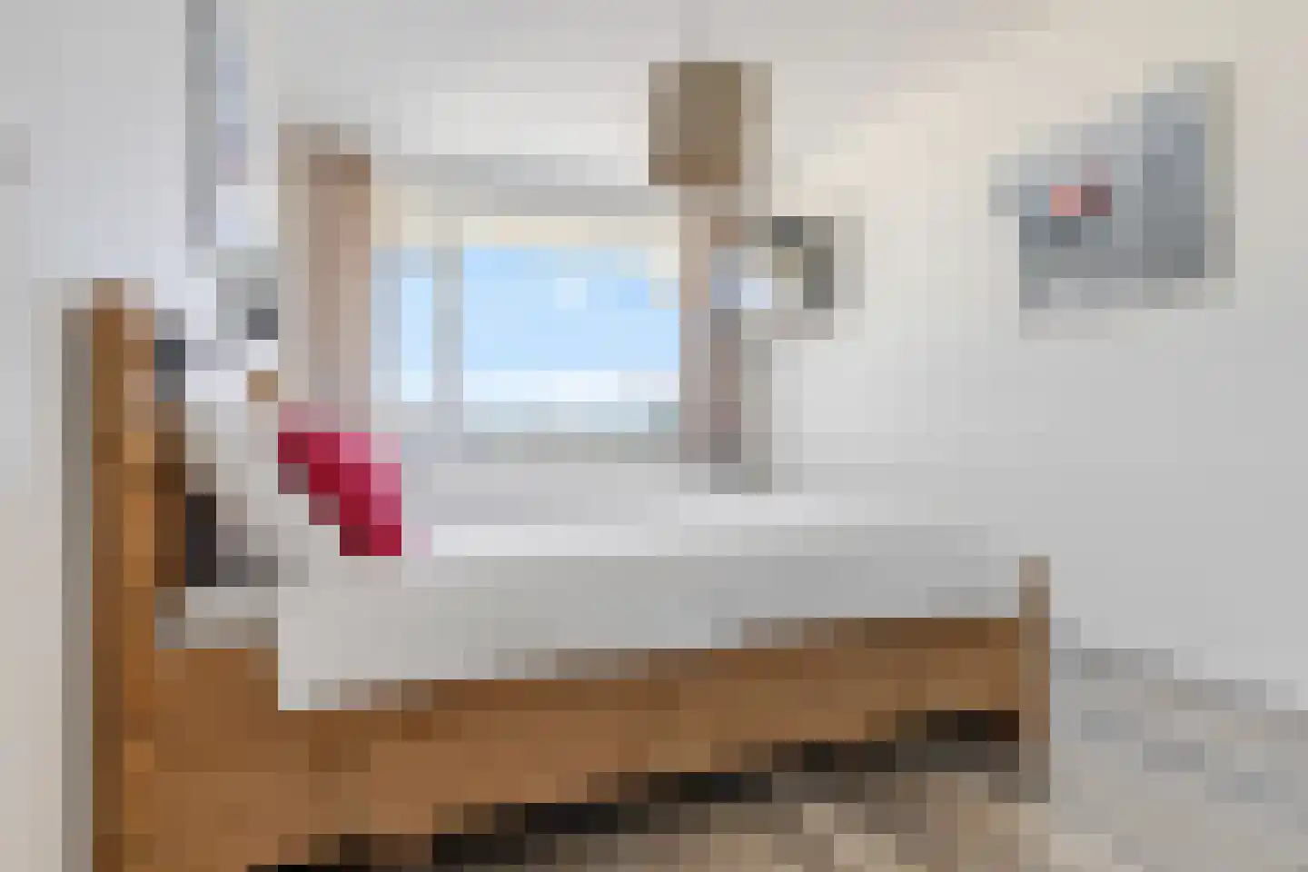 Passage 3 F 40 Zandvoort thumbnail 30