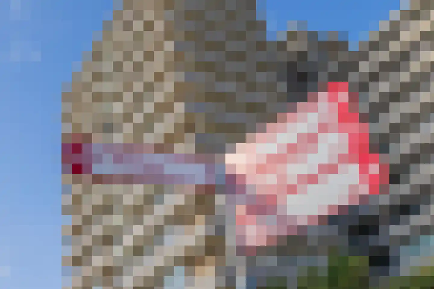 Passage 3 F 40 Zandvoort thumbnail 33