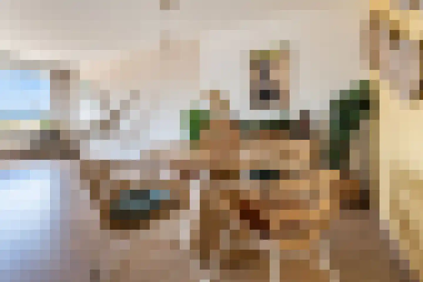 Passage 3 F 6 Zandvoort thumbnail 14