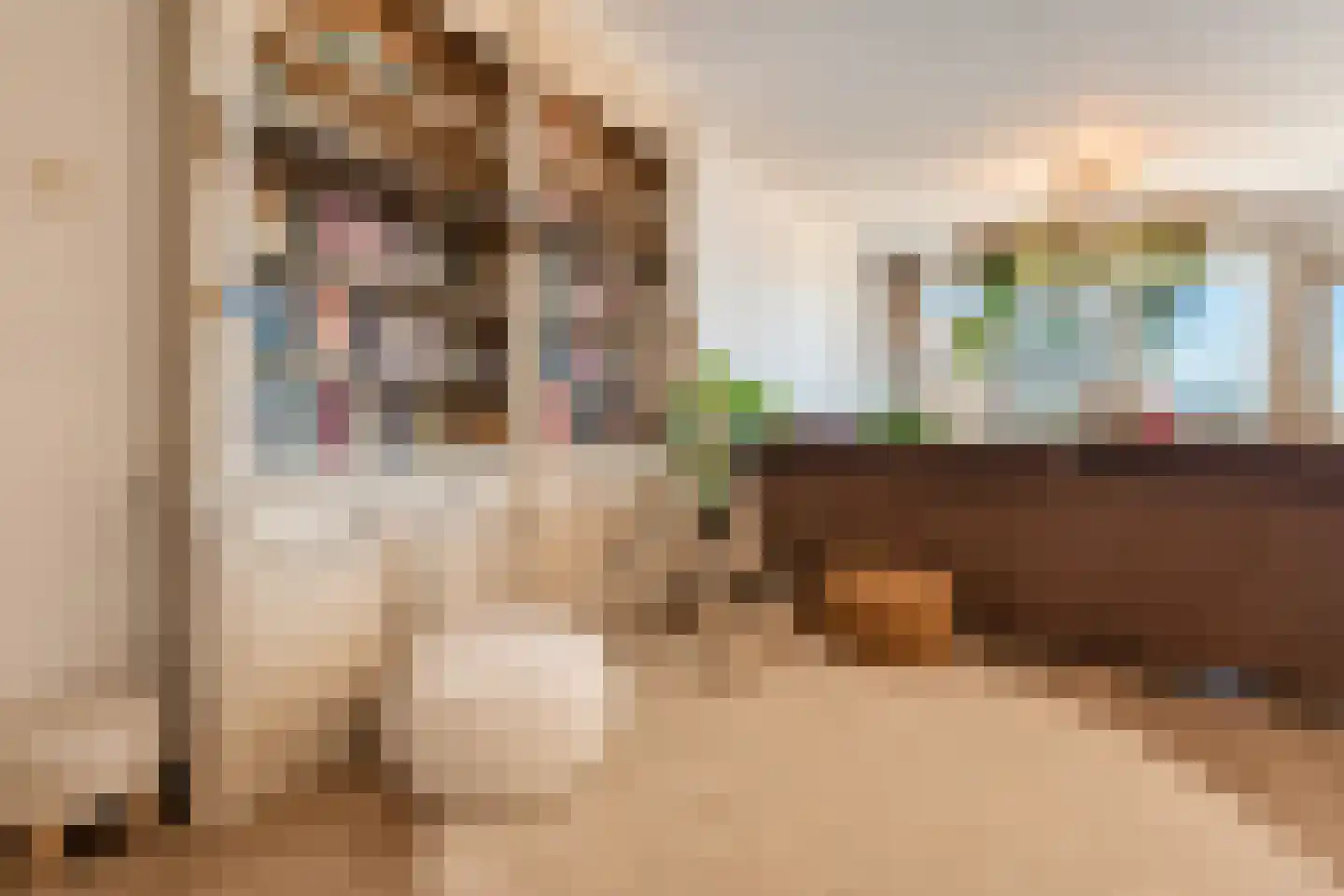Passage 3 F 6 Zandvoort thumbnail 6