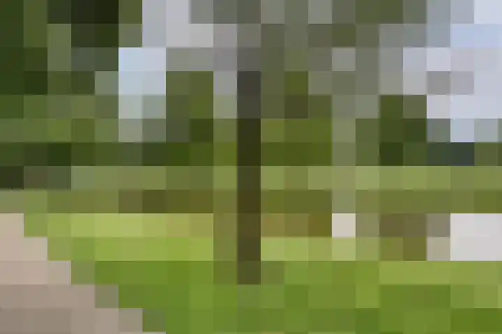 Passage 317 Sassenheim thumbnail 25