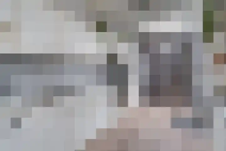 Passage 33 Waddinxveen thumbnail 19