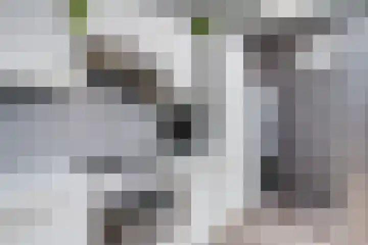Passage 33 Waddinxveen thumbnail 20