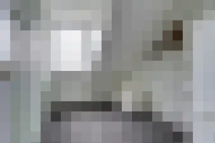Passage 33 Waddinxveen thumbnail 33