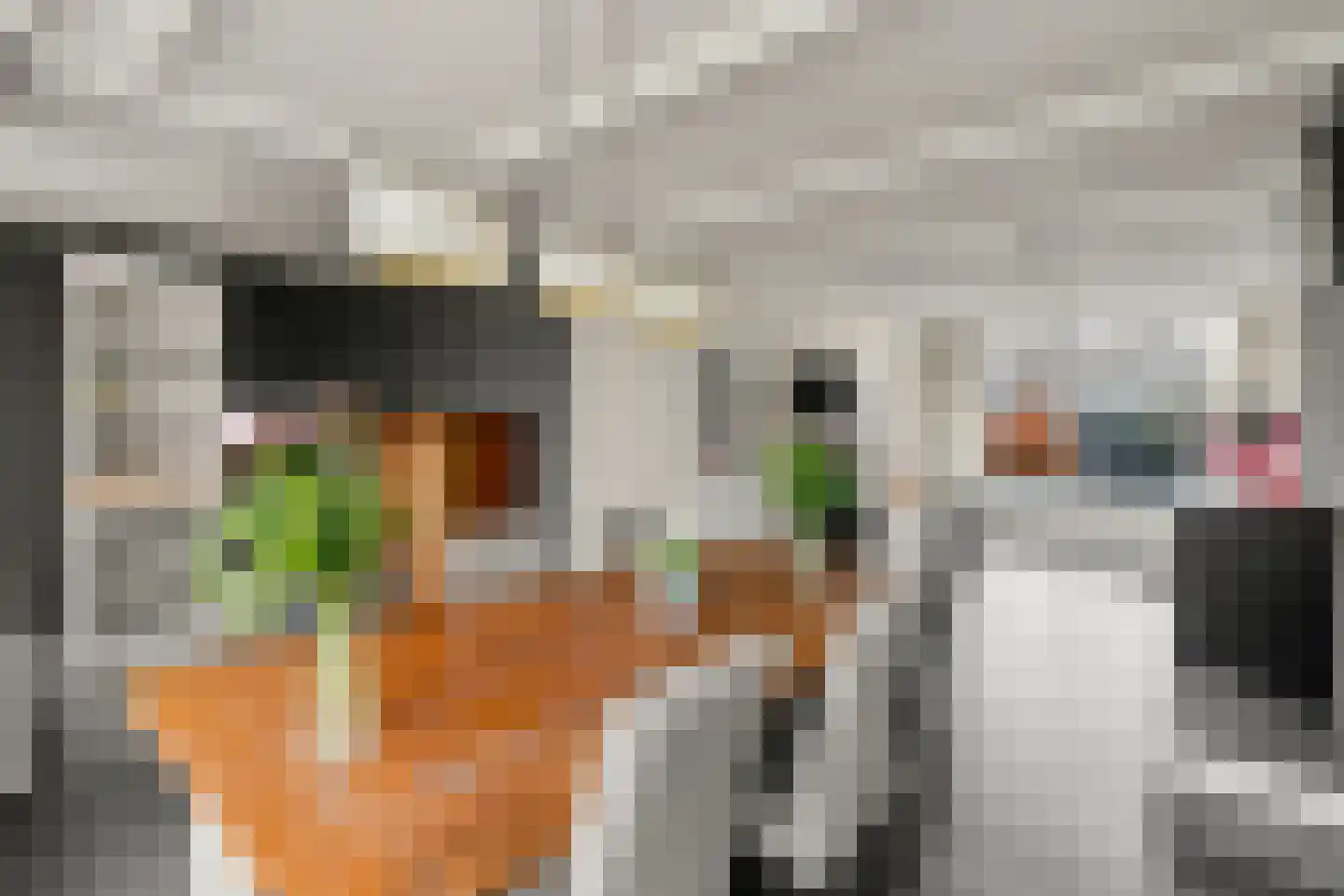 Passage 33 Waddinxveen thumbnail 41