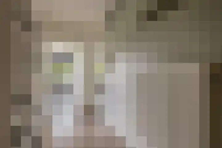 Passage 38 Waddinxveen thumbnail 13