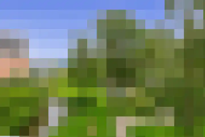 Passage 38 Waddinxveen thumbnail 20