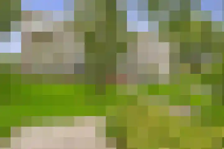 Passage 38 Waddinxveen thumbnail 29