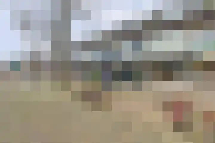 Passage 49 Waddinxveen thumbnail 6