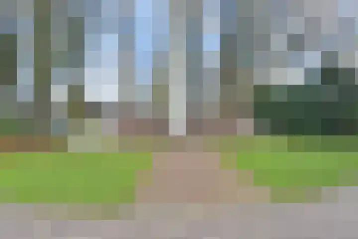 Passage 52 Waddinxveen thumbnail 33