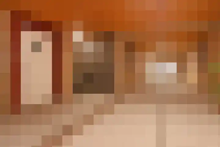 Passage 52 Waddinxveen thumbnail 7
