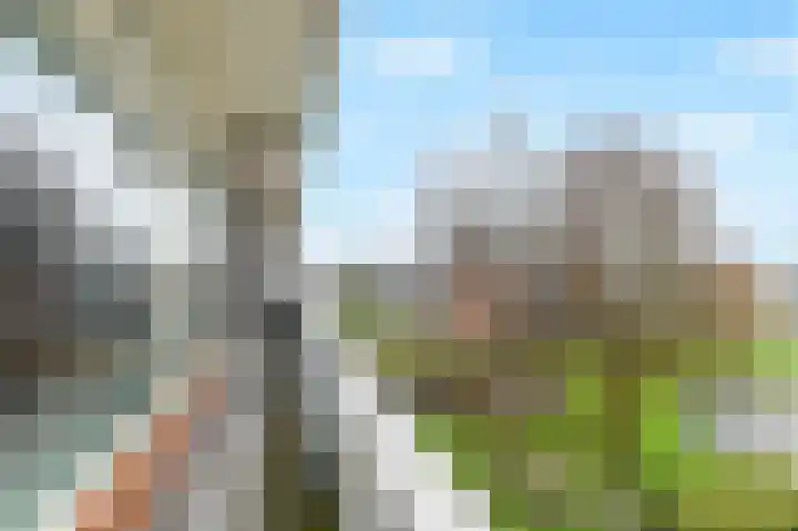 Passage 56 Waddinxveen thumbnail 32
