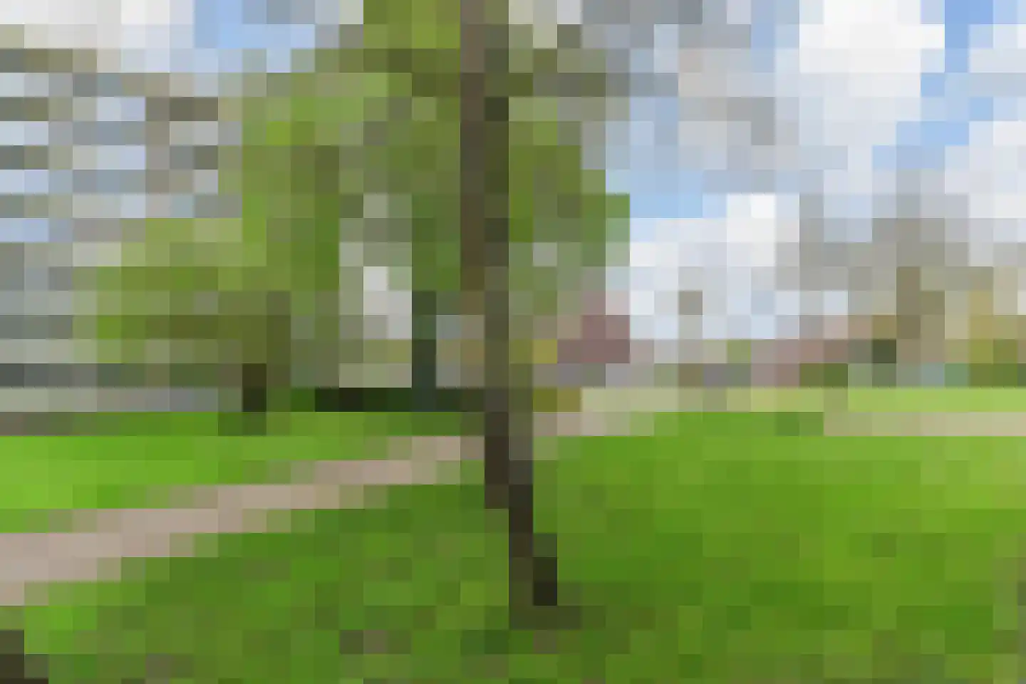 Passage 78 Waddinxveen thumbnail 28