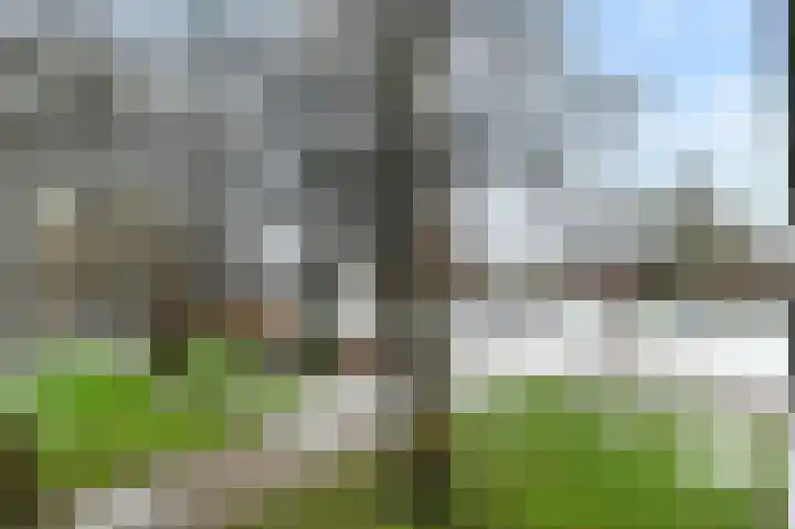 Passage 90 Waddinxveen thumbnail 31