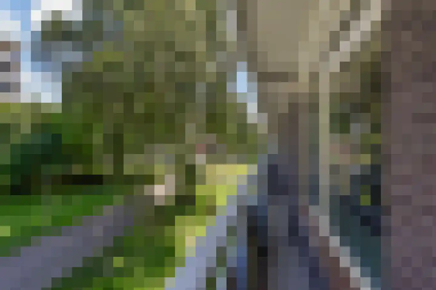Passage 92 Waddinxveen thumbnail 32