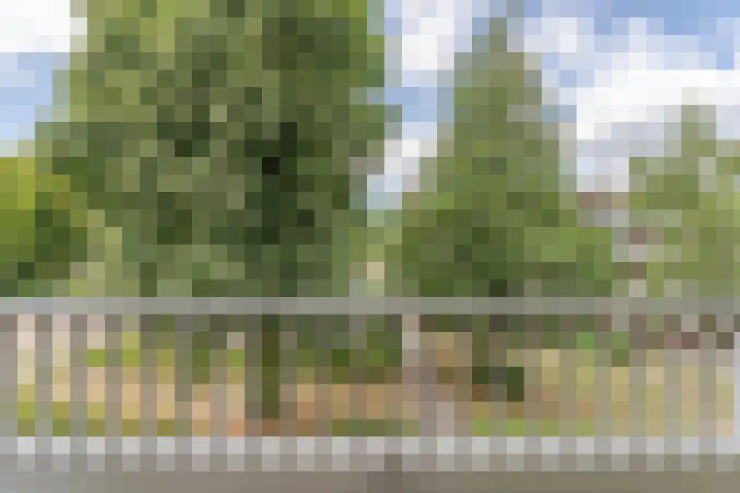 Passage 96 Waddinxveen thumbnail 12
