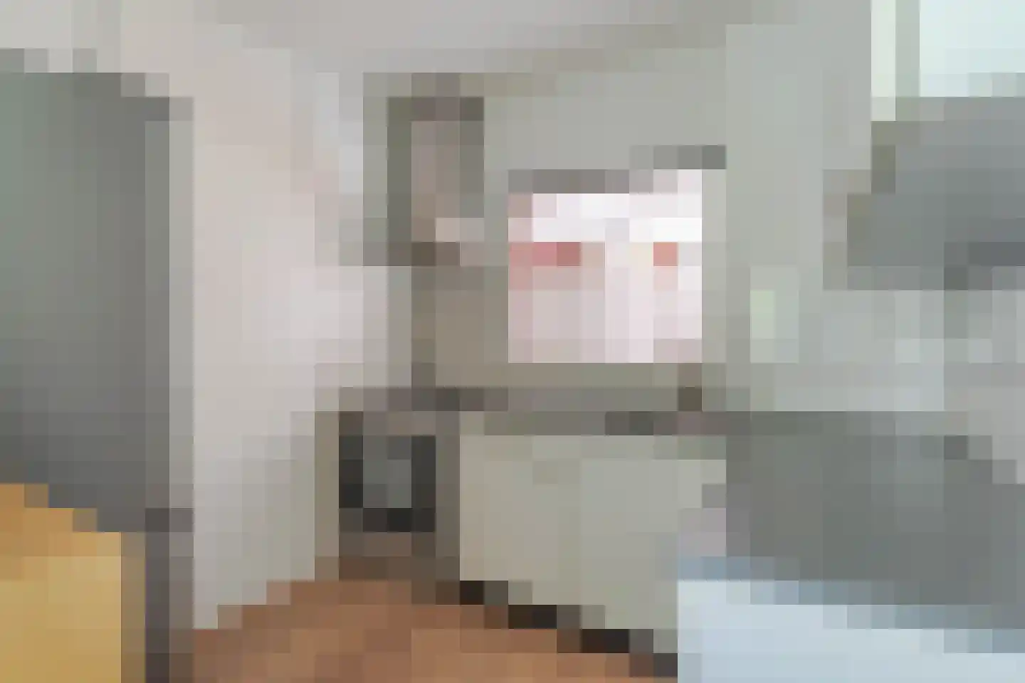 Passage 96 Waddinxveen thumbnail 8
