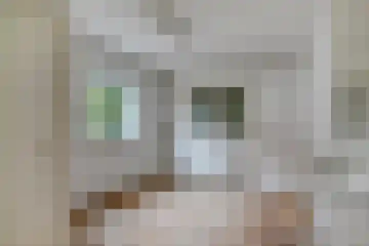 Passavantlaan 12 Arnhem thumbnail 16