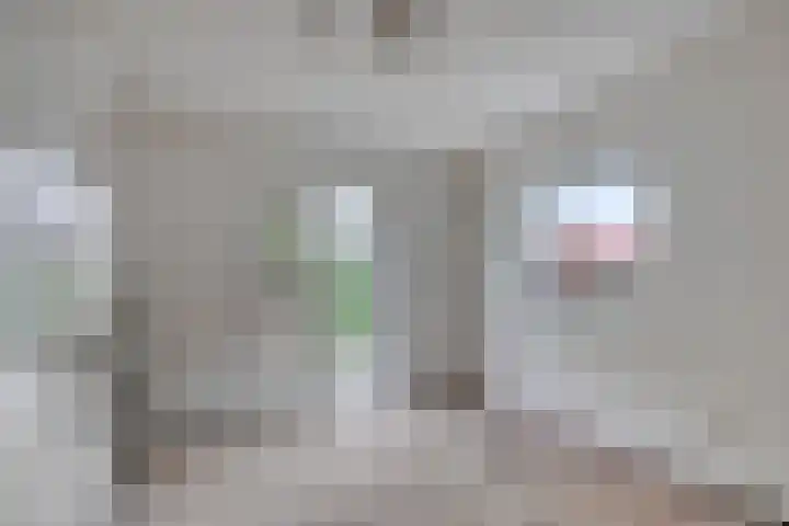 Passavantlaan 12 Arnhem thumbnail 18