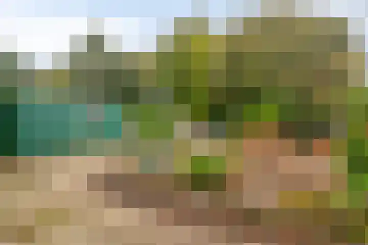Passavantlaan 12 Arnhem thumbnail 26