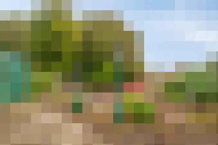 Passavantlaan 12 Arnhem thumbnail 27