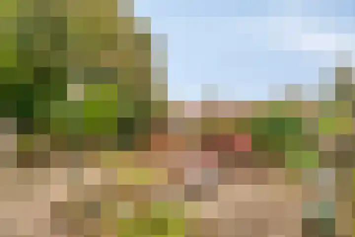 Passavantlaan 12 Arnhem thumbnail 28