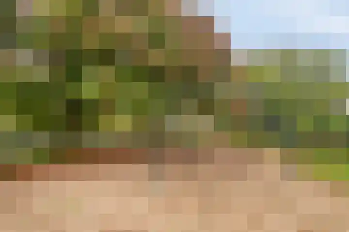 Passavantlaan 12 Arnhem thumbnail 31