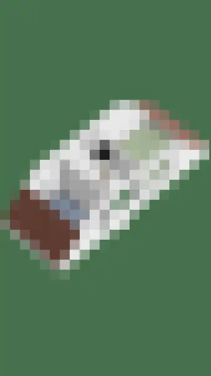 Passavantlaan 12 Arnhem thumbnail 40