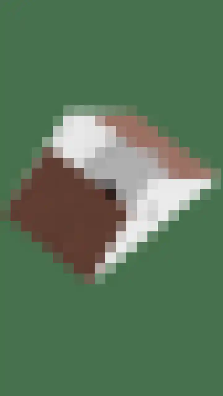 Passavantlaan 12 Arnhem thumbnail 41