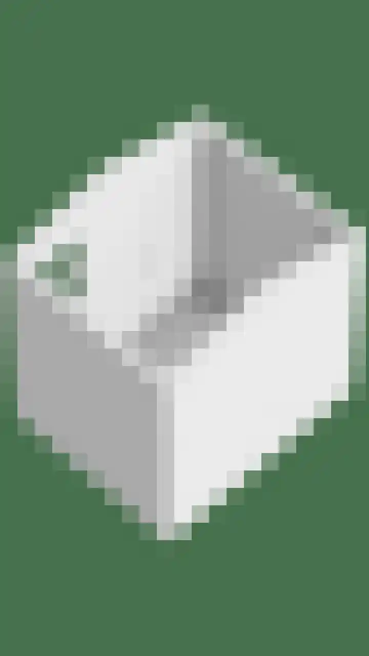 Passavantlaan 12 Arnhem thumbnail 43