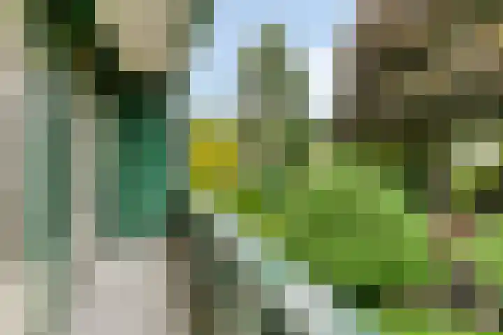 Passavantlaan 36 Arnhem thumbnail 14