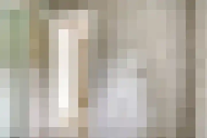 Passavantlaan 36 Arnhem thumbnail 23