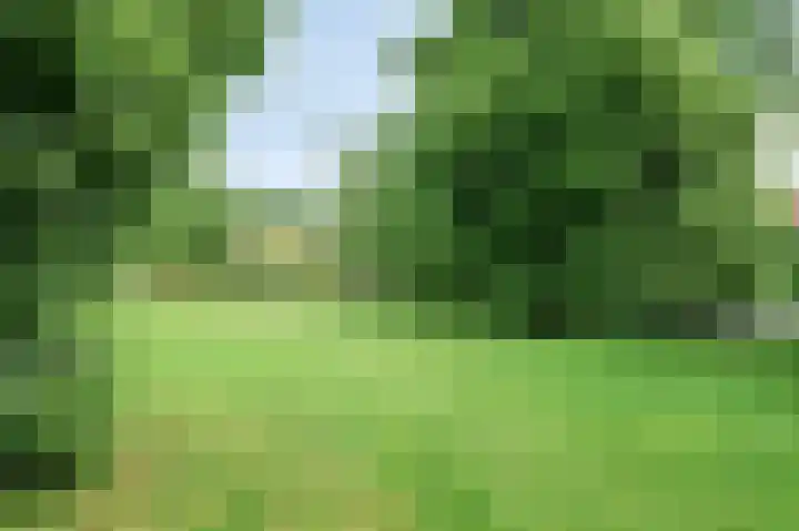 Passavantlaan 36 Arnhem thumbnail 27