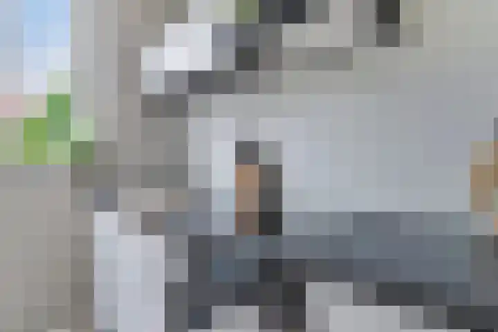 Passedwarsstraat 42 Wijchen thumbnail 7