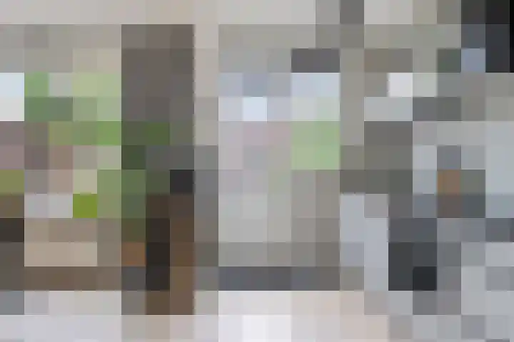 Passedwarsstraat 42 Wijchen thumbnail 8
