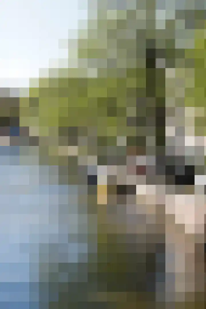 Passeerdersgracht 2 Amsterdam thumbnail 13