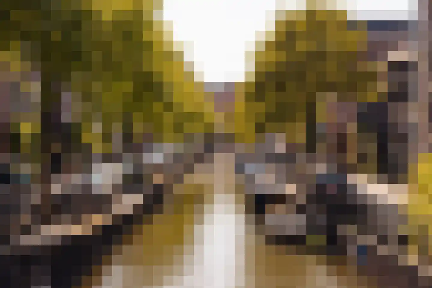 Passeerdersgracht 5 1 Amsterdam thumbnail 22