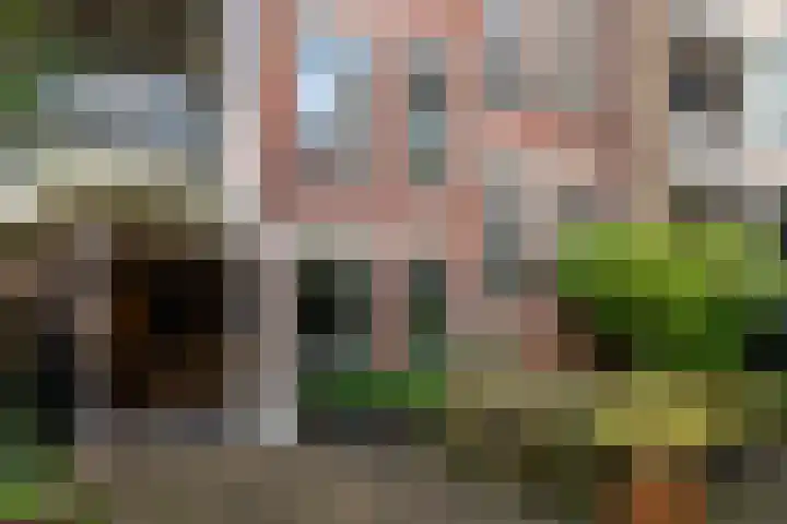 Passeerdersstraat 26 B Amsterdam thumbnail 12