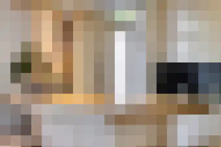Passementmakersdreef 24 Maastricht thumbnail 14