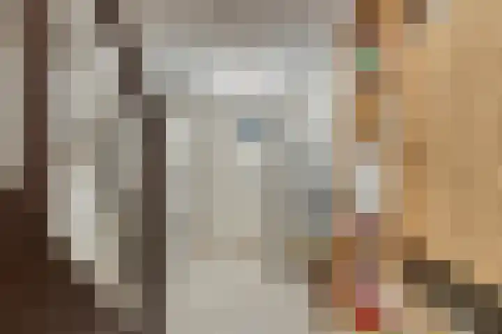 Passementmakersdreef 24 Maastricht thumbnail 30