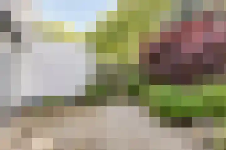 Passementmakersdreef 24 Maastricht thumbnail 32