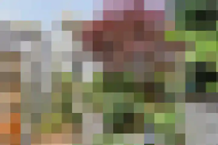 Passementmakersdreef 24 Maastricht thumbnail 34