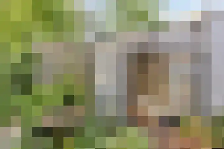 Passementmakersdreef 24 Maastricht thumbnail 36