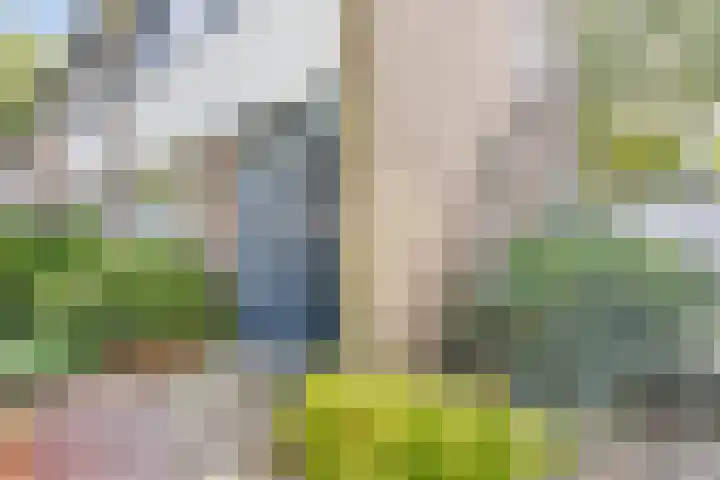 Passementmakersdreef 24 Maastricht thumbnail 37