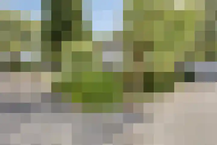 Passementmakersdreef 24 Maastricht thumbnail 39