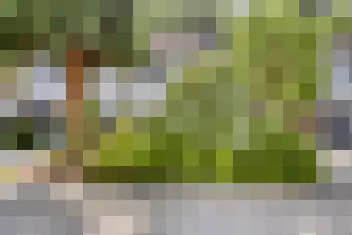 Passementmakersdreef 24 Maastricht thumbnail 40