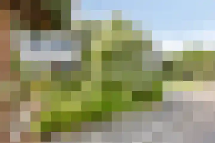 Passementmakersdreef 24 Maastricht thumbnail 41
