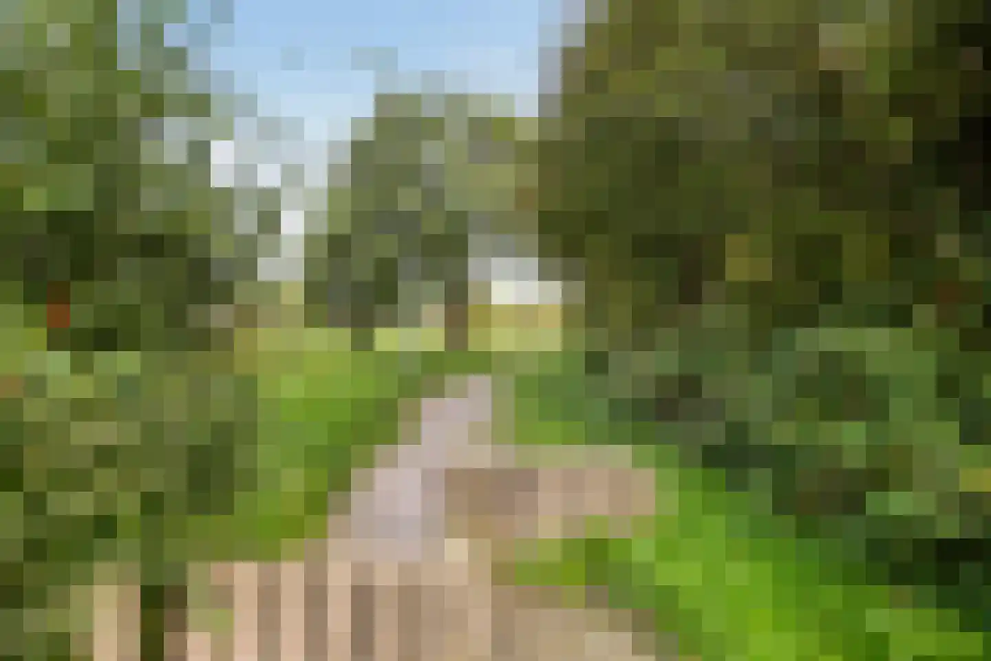 Passerstraat 4 Alkmaar thumbnail 42